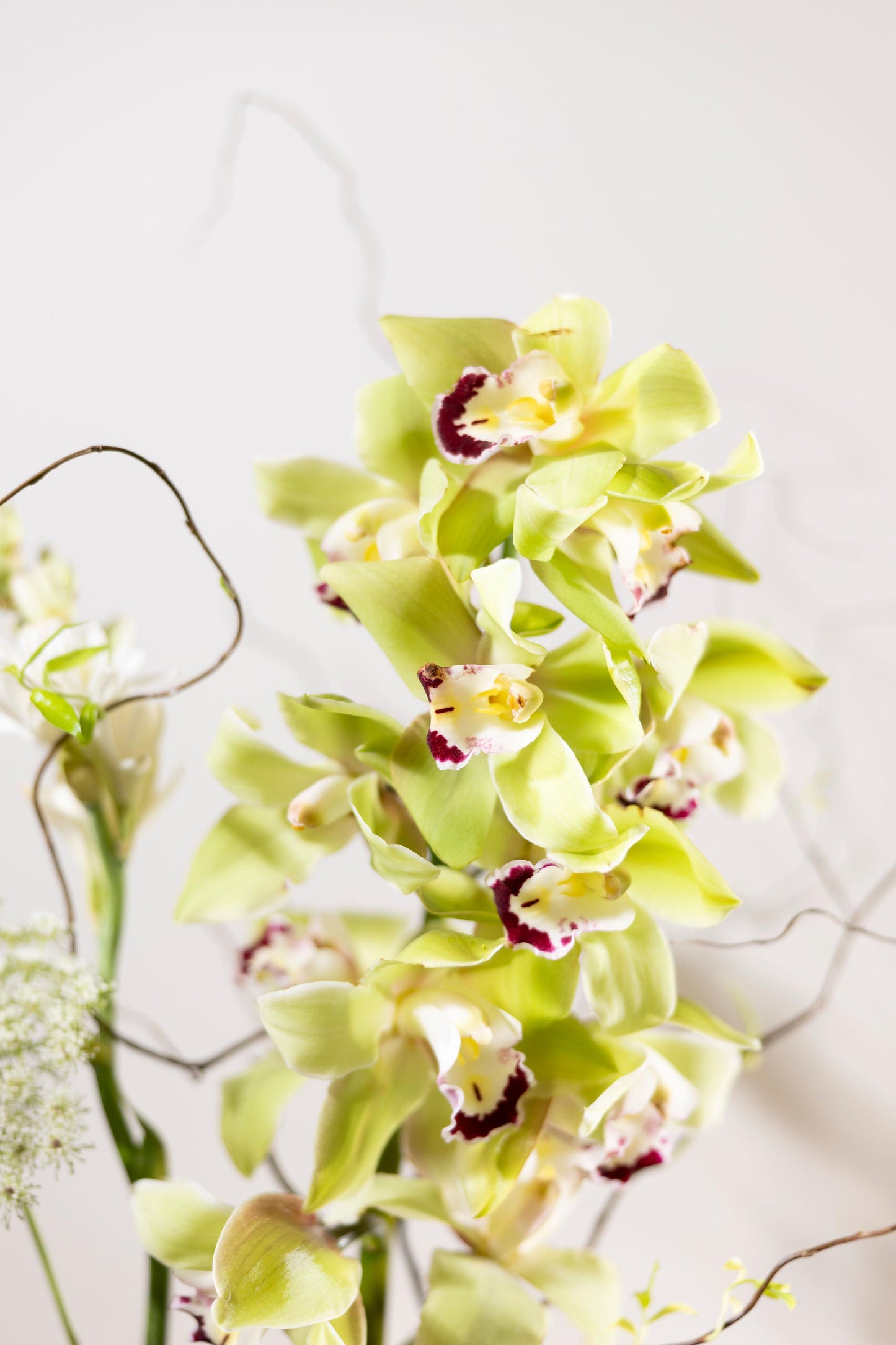 Verdant Silence Vase