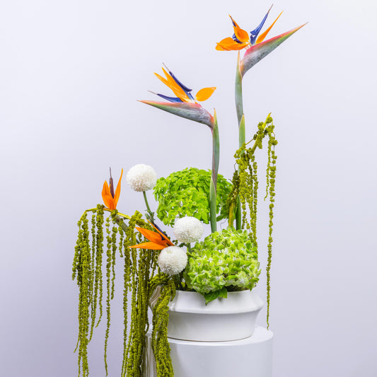 Exotic Bloom Vase Arrangement