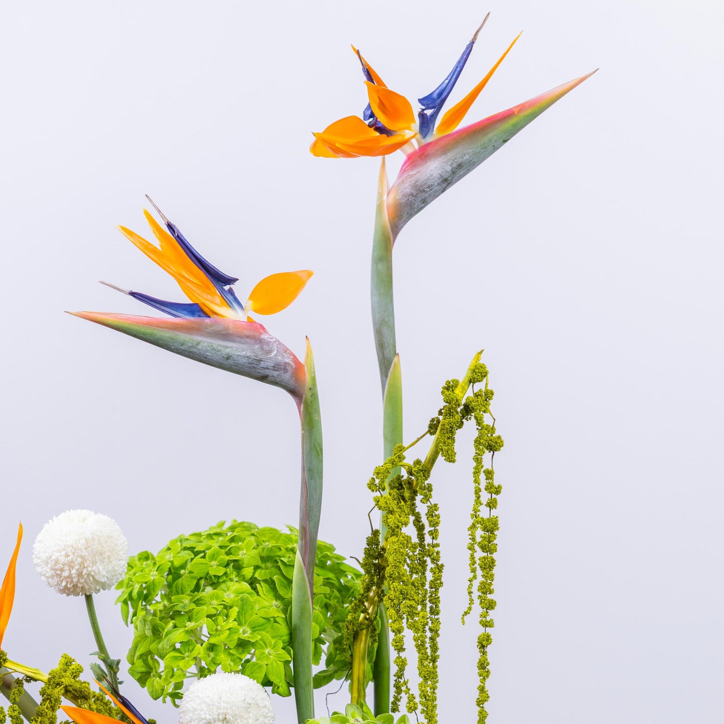 Exotic Bloom Vase Arrangement