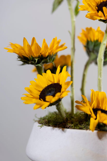 Vase of Sunshine