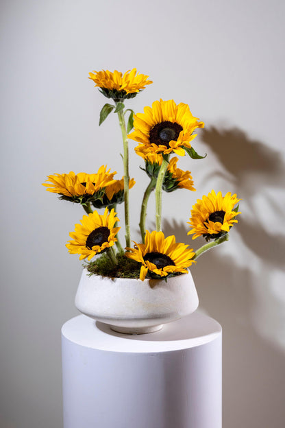Vase of Sunshine