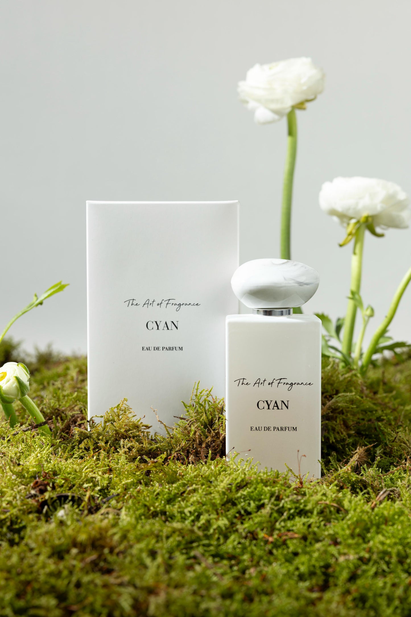 Perfumes of Wareef Flowers
Cyan – The Art of Fragrance