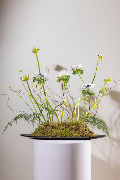 Modern Zen Centerpeice